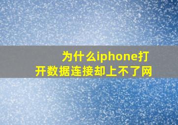 为什么iphone打开数据连接却上不了网