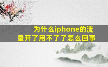 为什么iphone的流量开了用不了了怎么回事