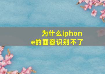 为什么iphone的面容识别不了