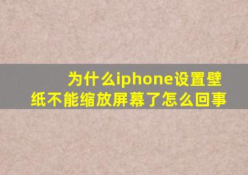 为什么iphone设置壁纸不能缩放屏幕了怎么回事