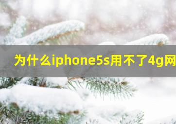 为什么iphone5s用不了4g网络