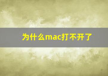 为什么mac打不开了