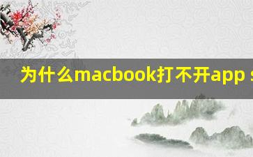 为什么macbook打不开app store