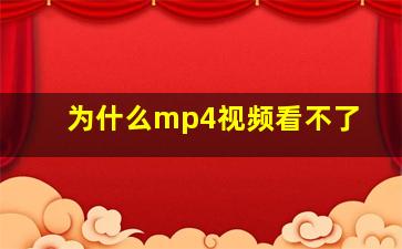 为什么mp4视频看不了