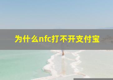 为什么nfc打不开支付宝