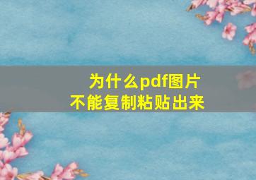 为什么pdf图片不能复制粘贴出来