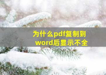 为什么pdf复制到word后显示不全