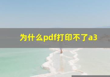 为什么pdf打印不了a3