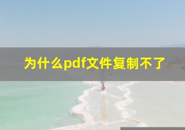 为什么pdf文件复制不了