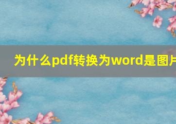 为什么pdf转换为word是图片