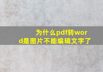 为什么pdf转word是图片不能编辑文字了