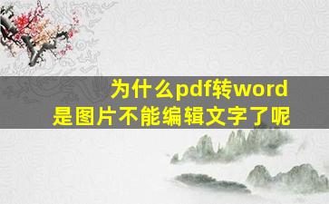 为什么pdf转word是图片不能编辑文字了呢