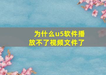 为什么u5软件播放不了视频文件了