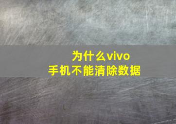 为什么vivo手机不能清除数据