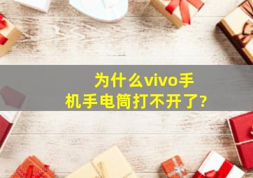 为什么vivo手机手电筒打不开了?