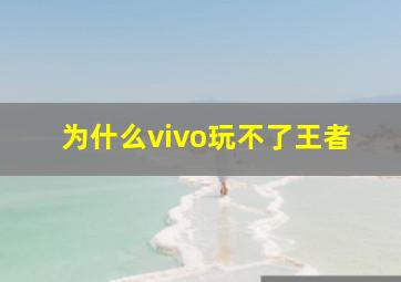 为什么vivo玩不了王者