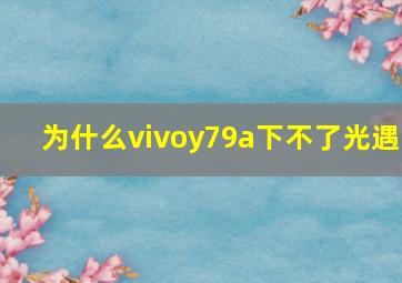 为什么vivoy79a下不了光遇