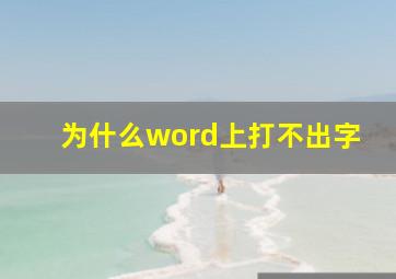 为什么word上打不出字