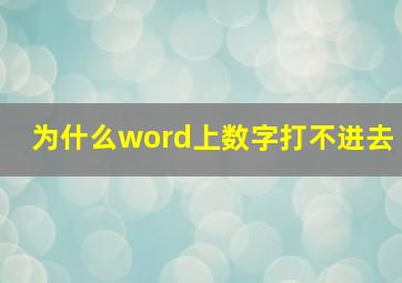 为什么word上数字打不进去