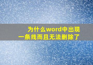 为什么word中出现一条线而且无法删除了