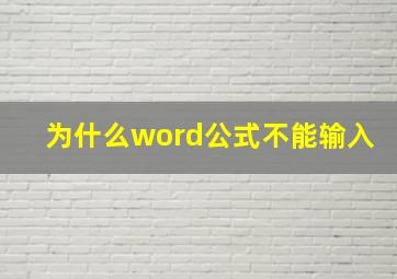 为什么word公式不能输入