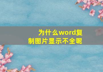 为什么word复制图片显示不全呢