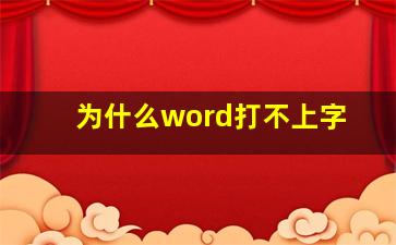 为什么word打不上字