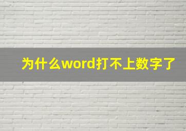 为什么word打不上数字了