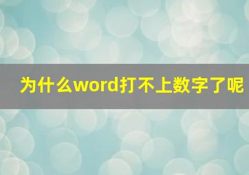 为什么word打不上数字了呢