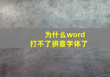 为什么word打不了拼音字体了