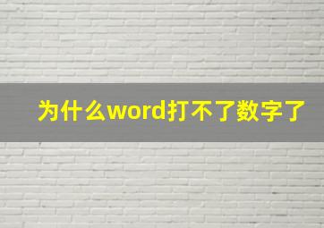 为什么word打不了数字了