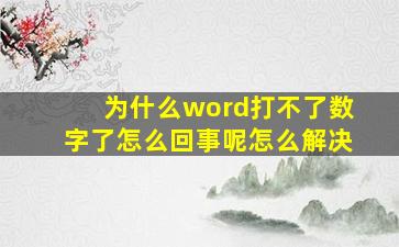 为什么word打不了数字了怎么回事呢怎么解决