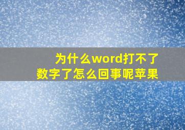 为什么word打不了数字了怎么回事呢苹果