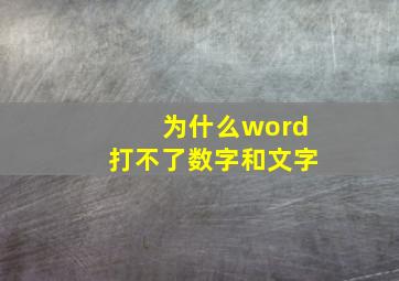 为什么word打不了数字和文字