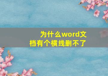 为什么word文档有个横线删不了