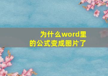 为什么word里的公式变成图片了