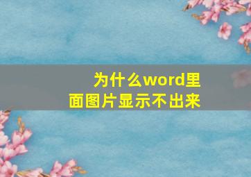 为什么word里面图片显示不出来