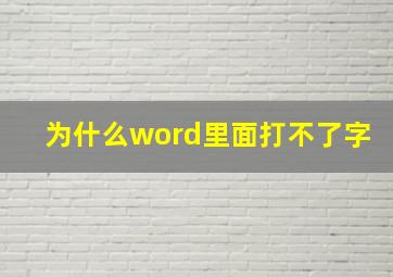 为什么word里面打不了字