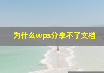 为什么wps分享不了文档