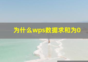 为什么wps数据求和为0