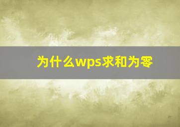 为什么wps求和为零