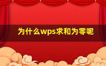 为什么wps求和为零呢