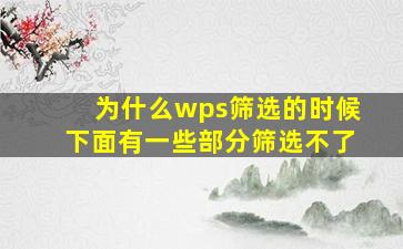 为什么wps筛选的时候下面有一些部分筛选不了