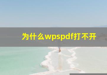 为什么wpspdf打不开