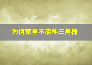 为何家里不能种三角梅