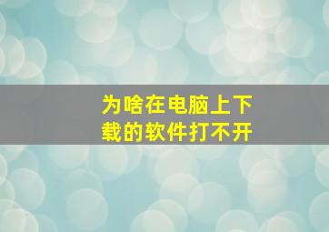 为啥在电脑上下载的软件打不开