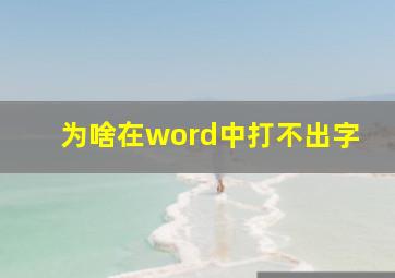 为啥在word中打不出字