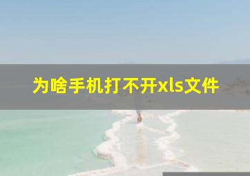 为啥手机打不开xls文件