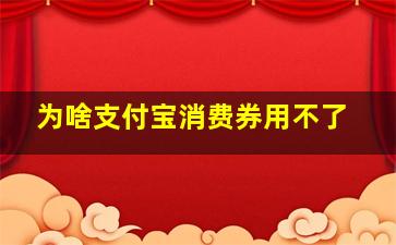 为啥支付宝消费券用不了