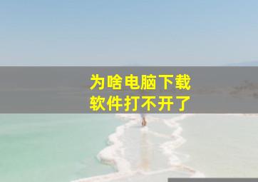 为啥电脑下载软件打不开了